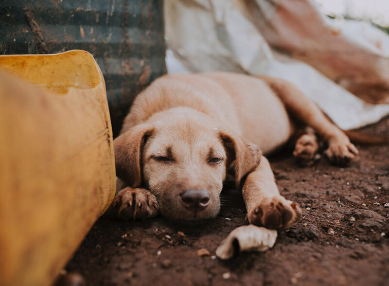 Online Donation In The Modern World